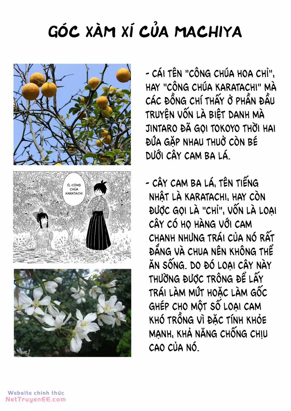 Showa Maiden Fairytale 19 trang 16