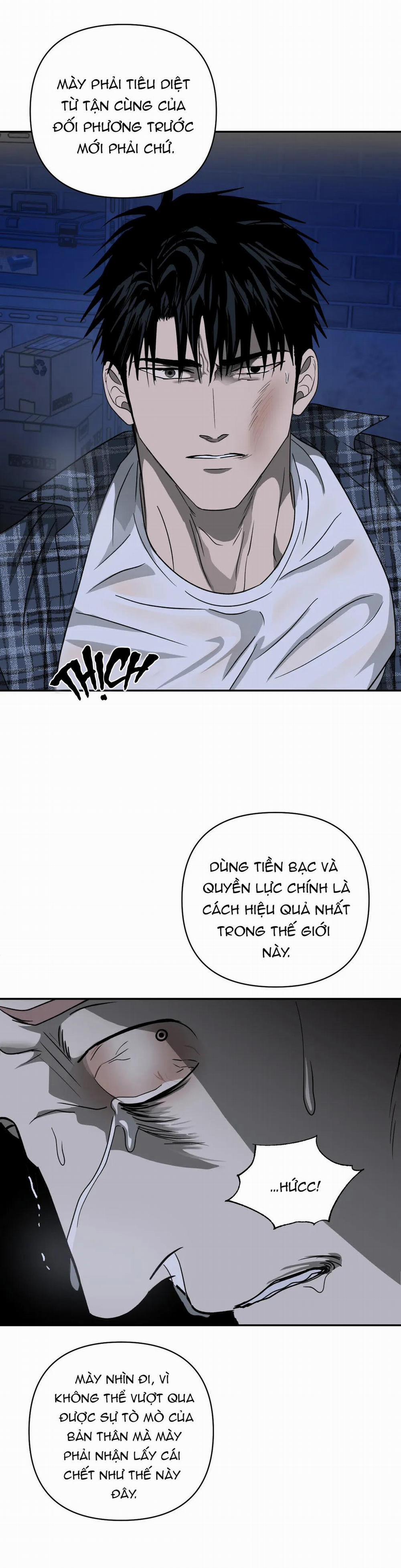 Shutline 16.1 trang 8