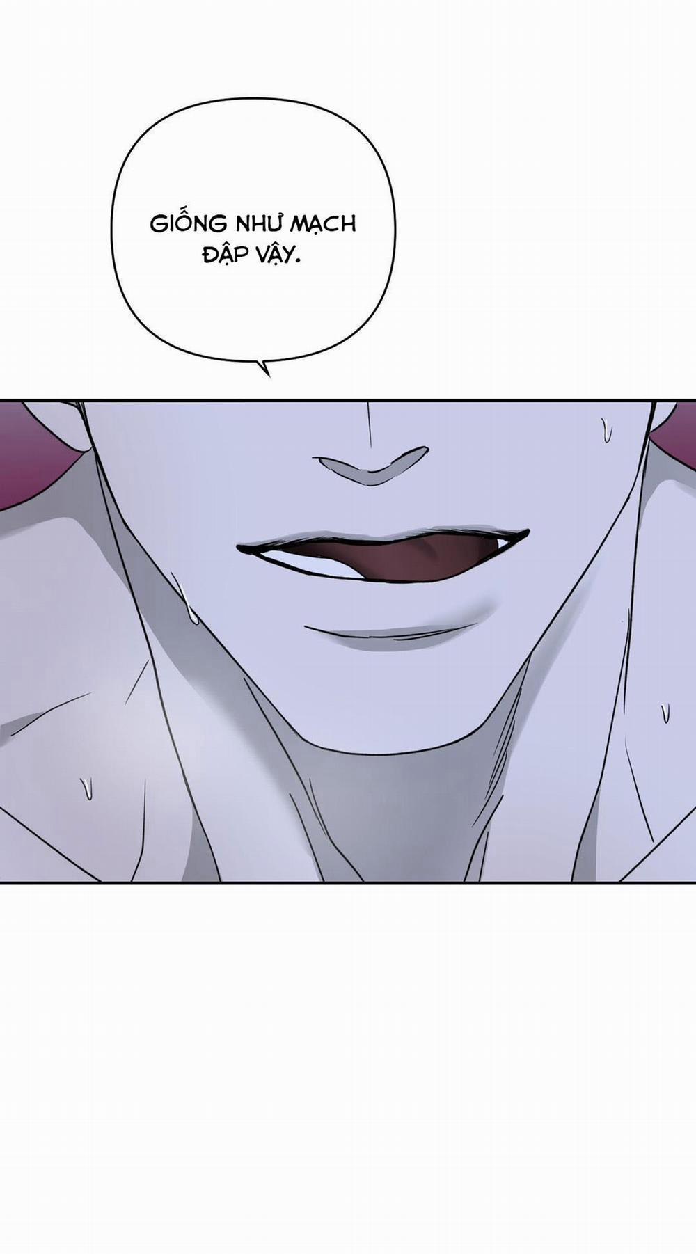 Shutline 19.2 trang 0