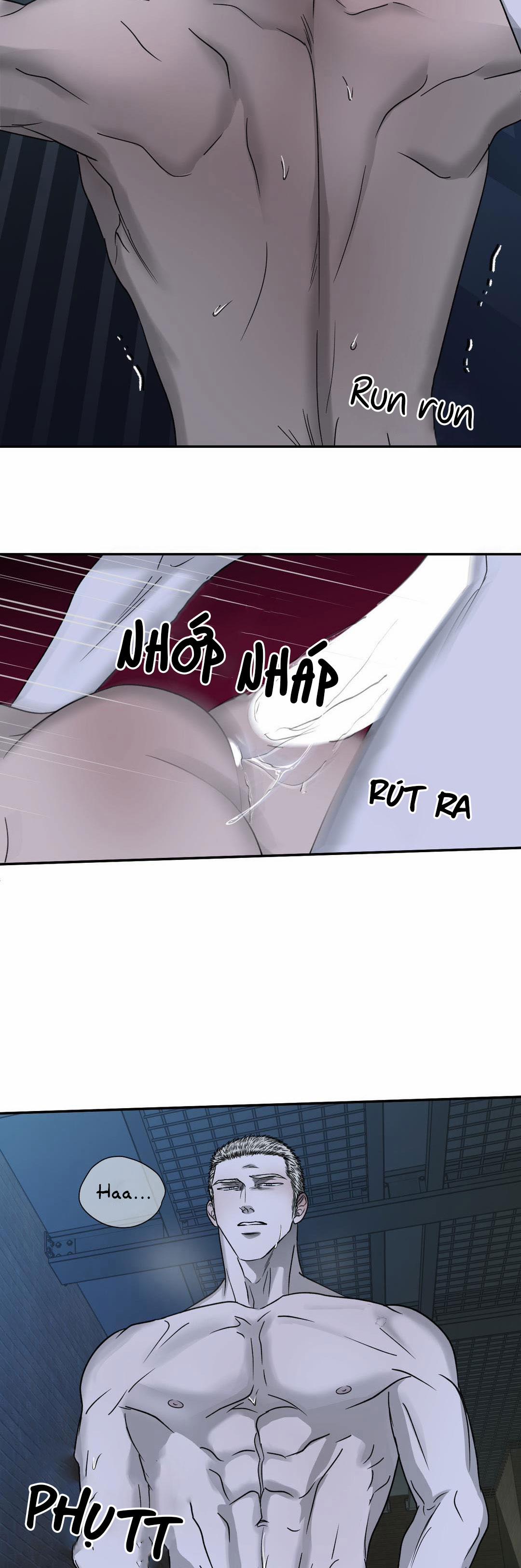 Shutline 19.2 trang 12