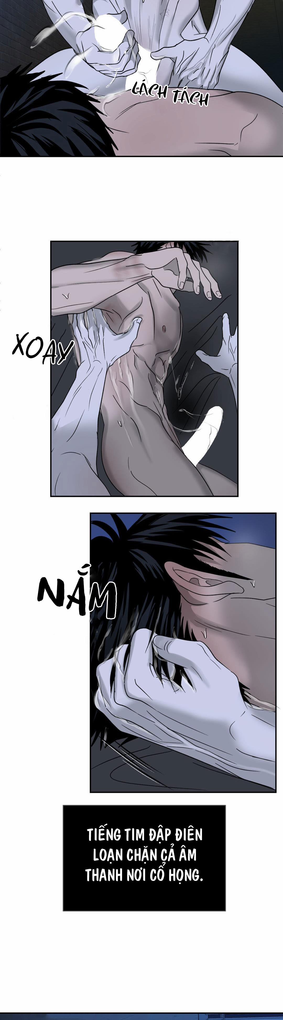 Shutline 19.2 trang 13