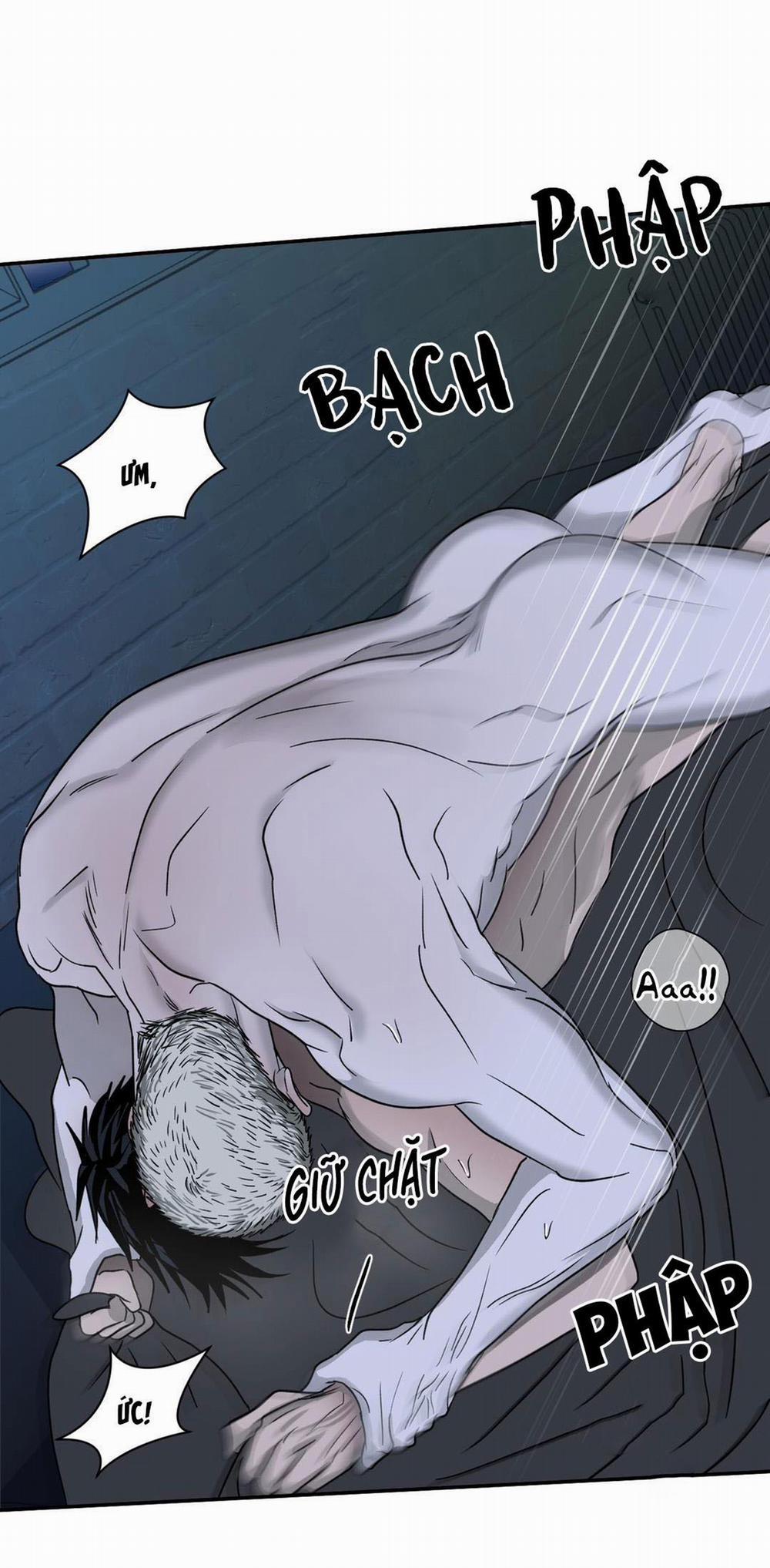 Shutline 19 trang 13