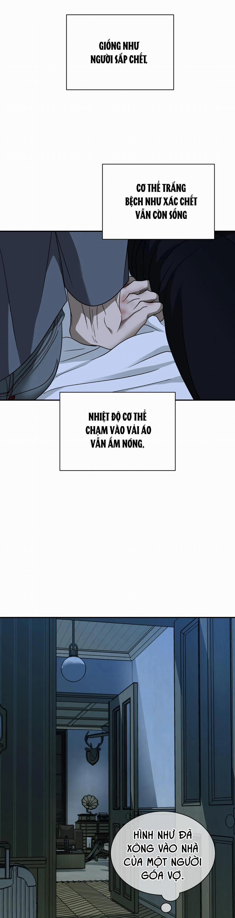 Shutline 44 trang 25