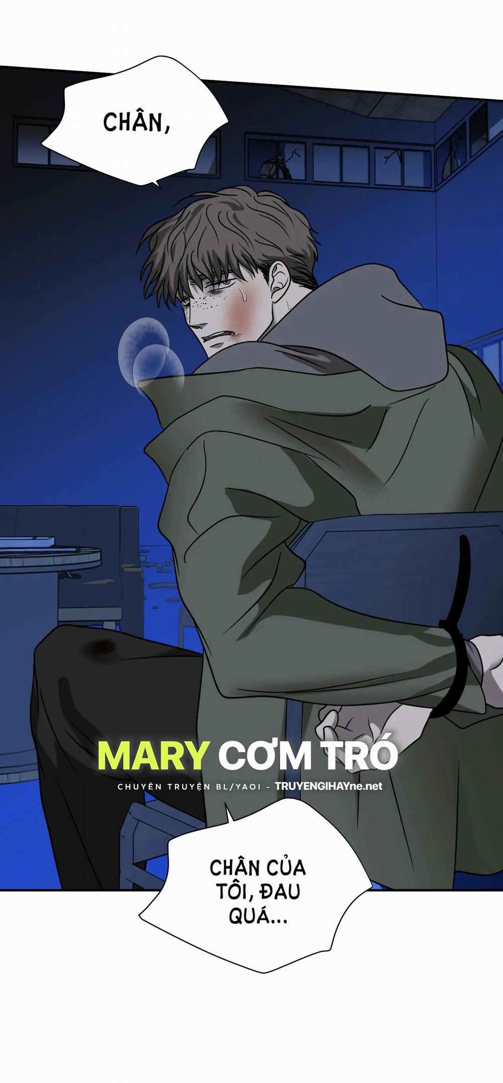 Shutline 52.1 trang 20