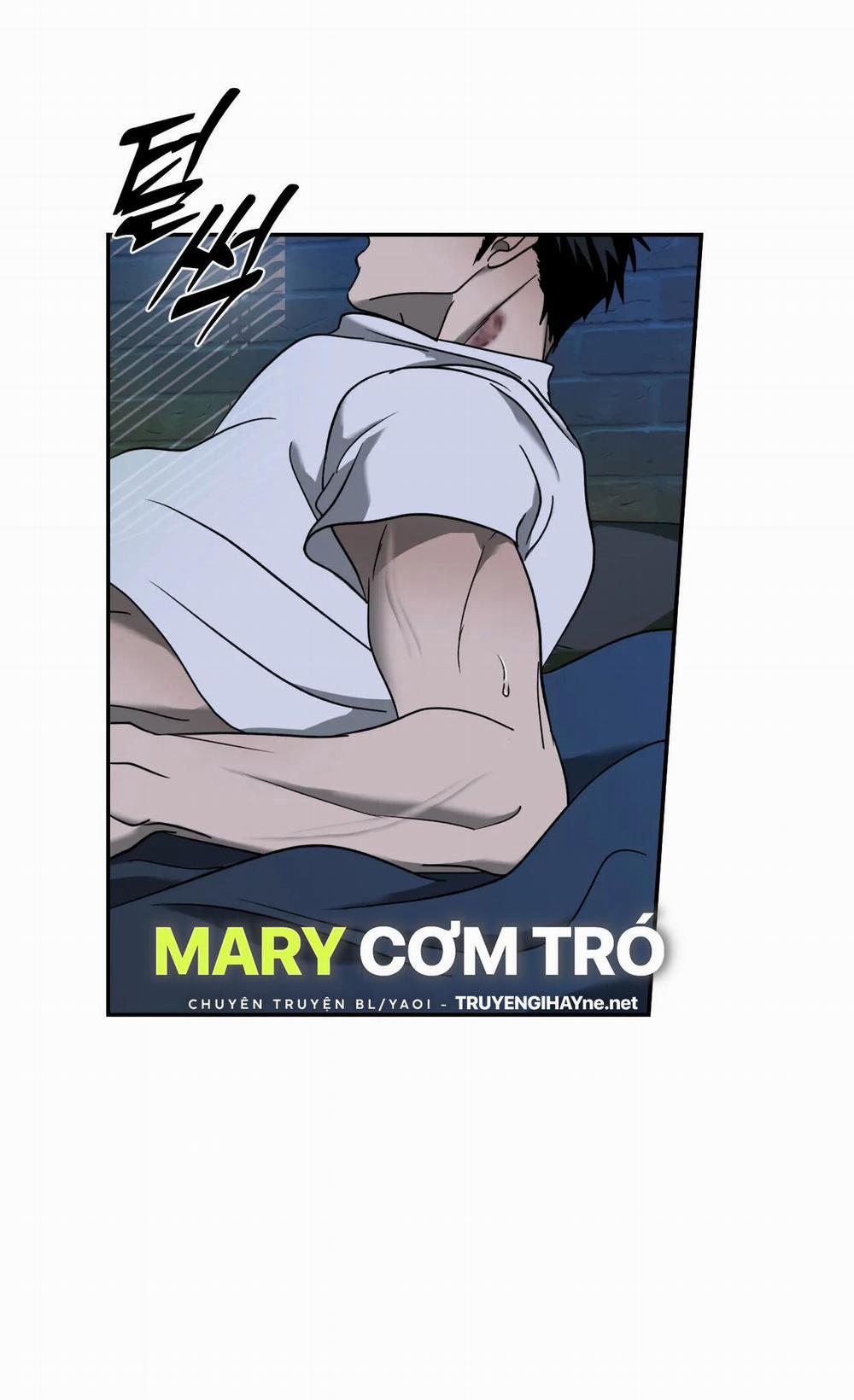 Shutline 55.1 trang 25