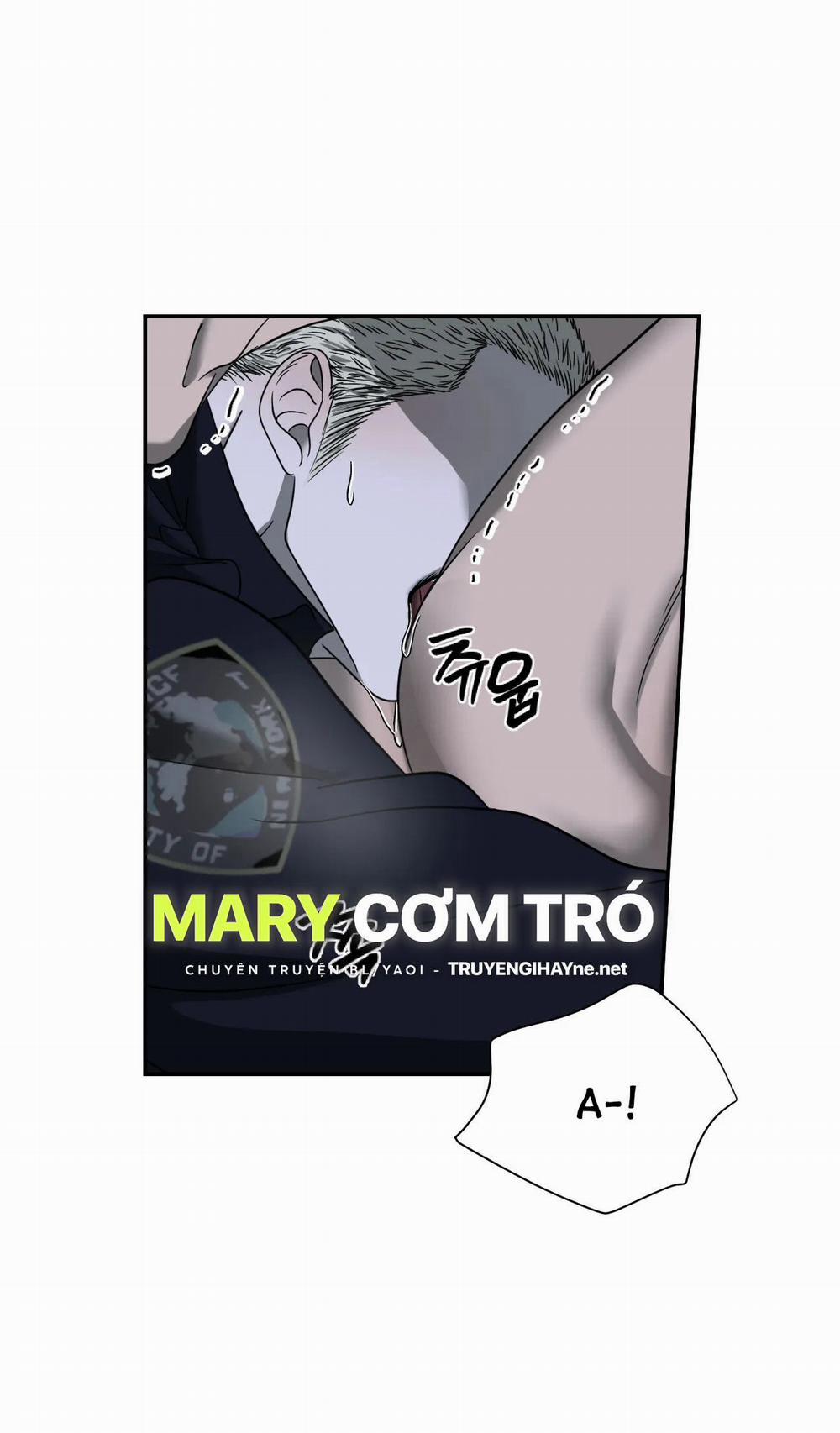 Shutline 55.1 trang 29