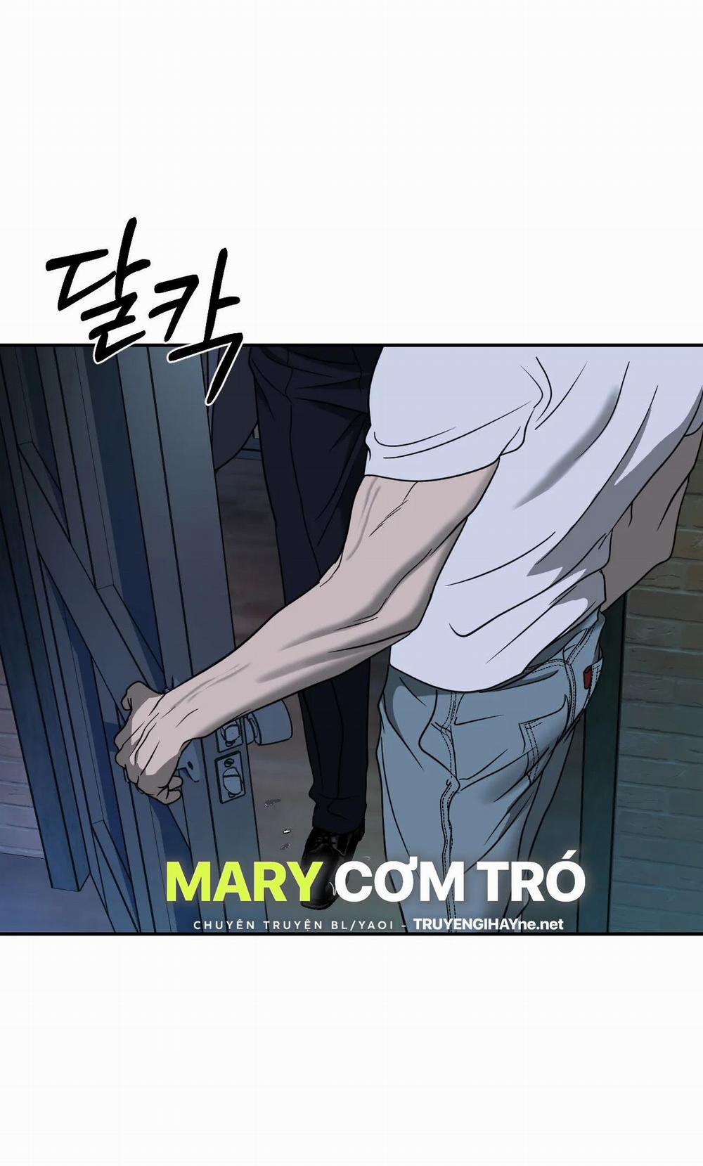 Shutline 55.1 trang 8