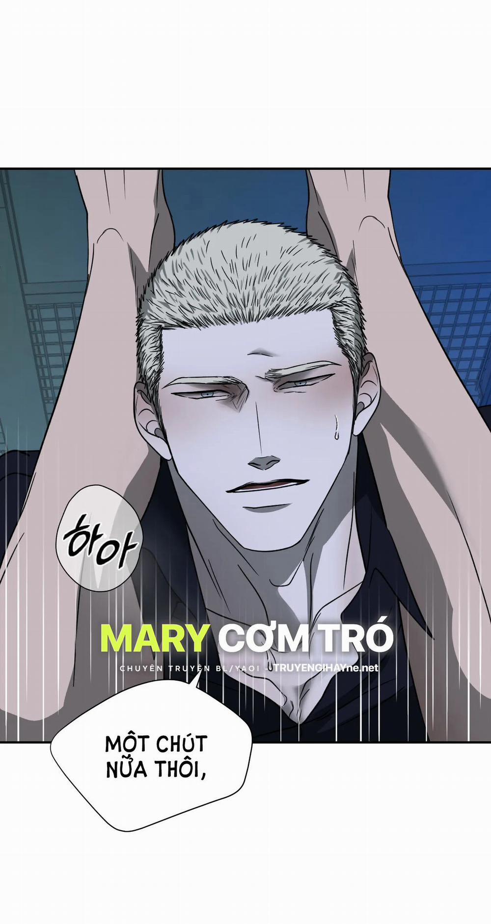 Shutline 56.1 trang 14