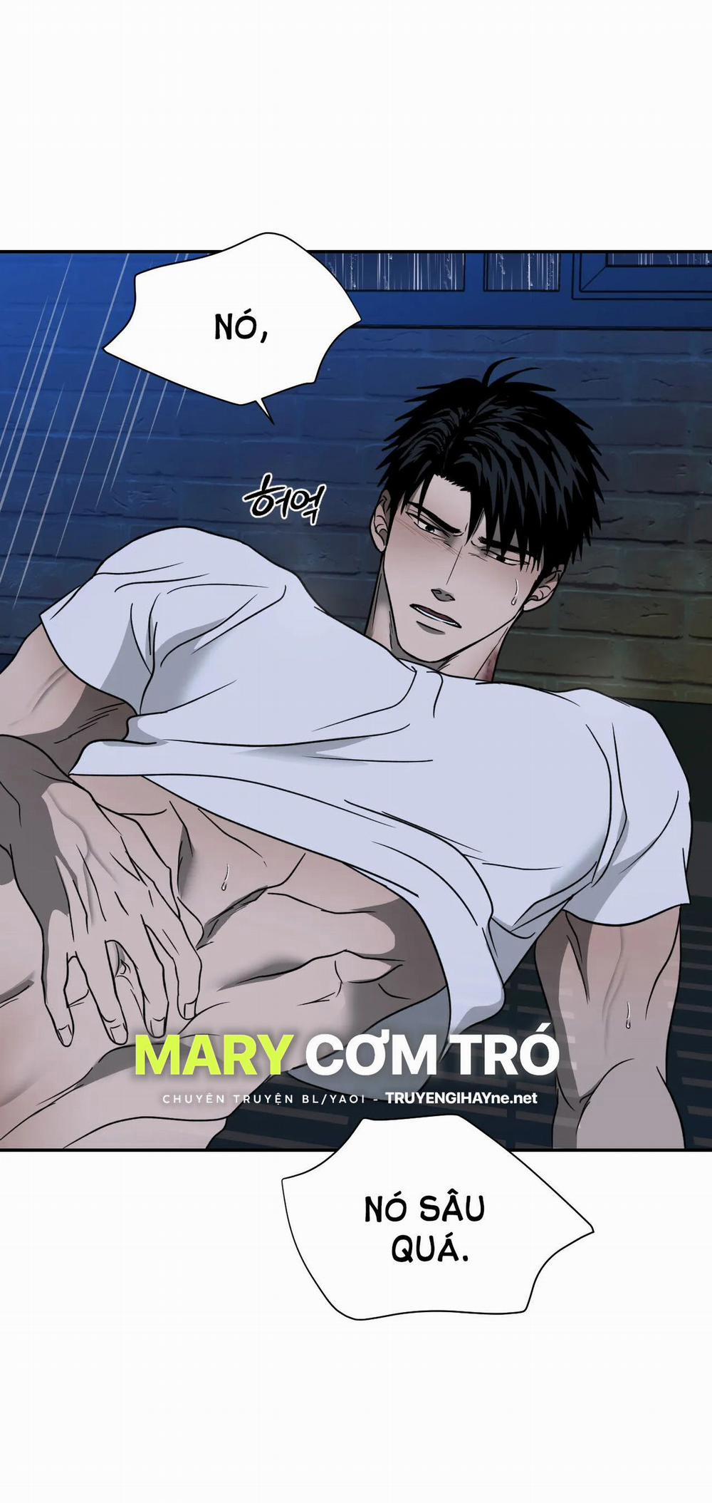 Shutline 56.1 trang 6