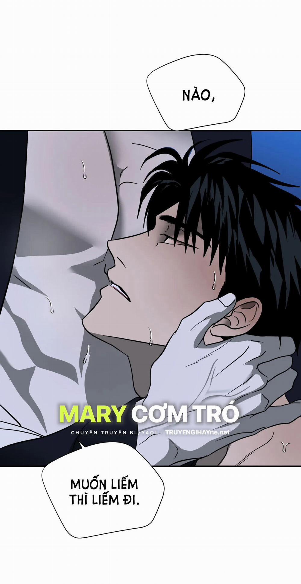 Shutline 56.2 trang 10