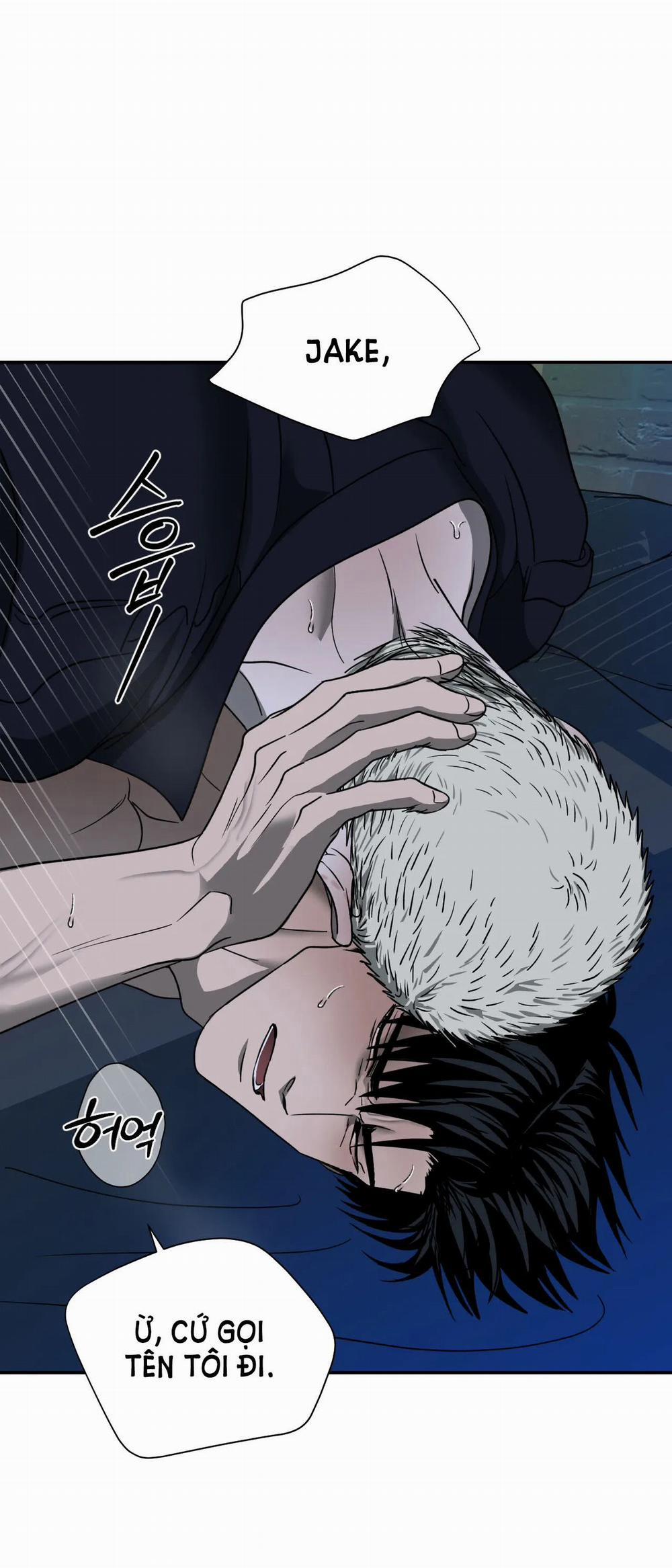 Shutline 56.2 trang 5