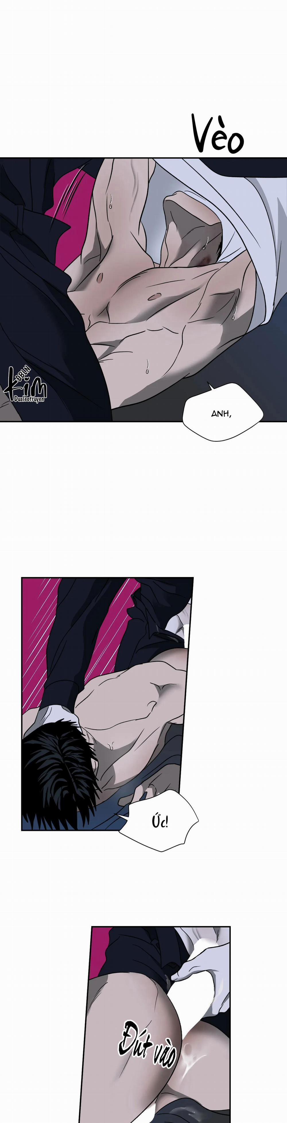 Shutline 56 trang 12