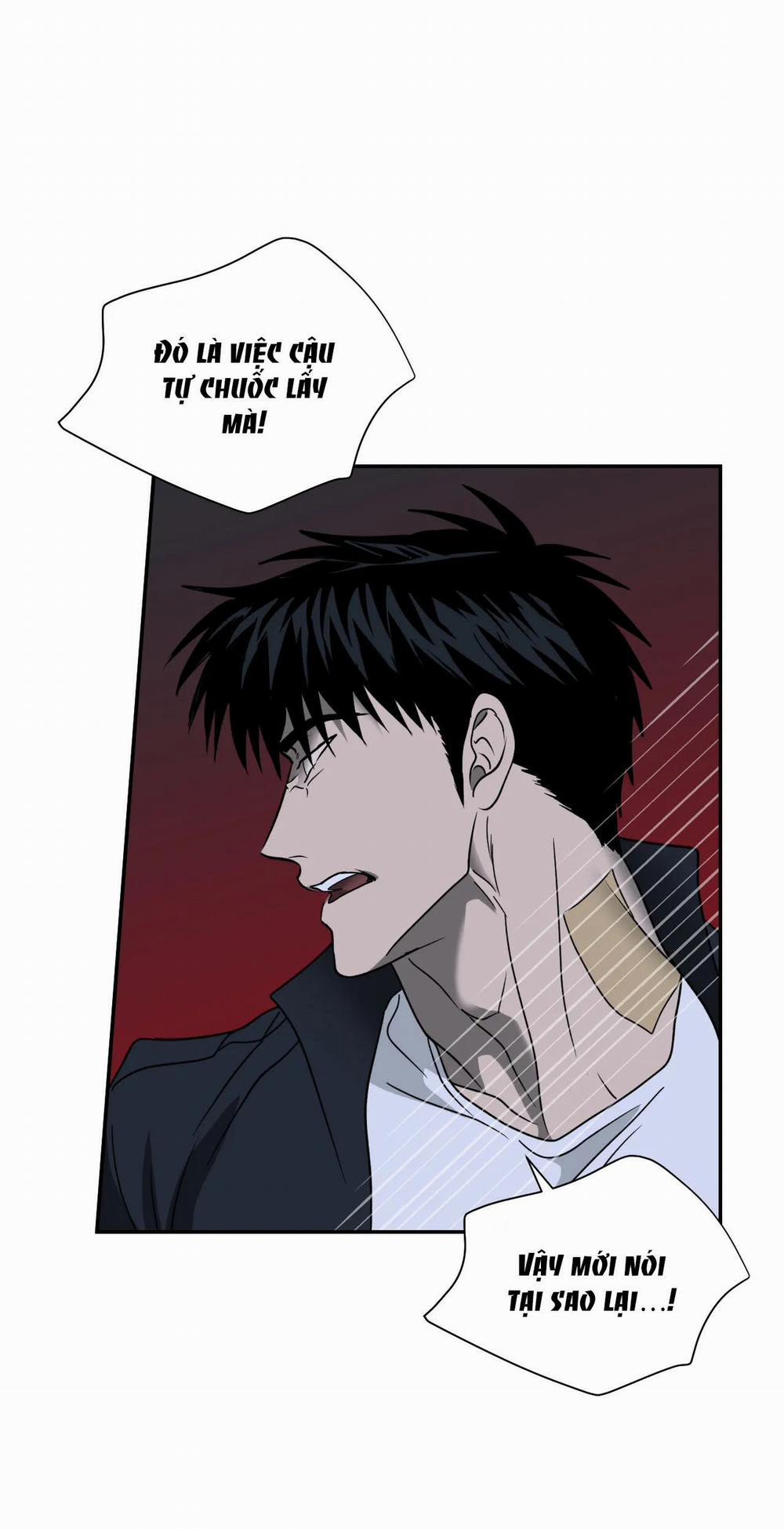 Shutline 60.2 trang 15