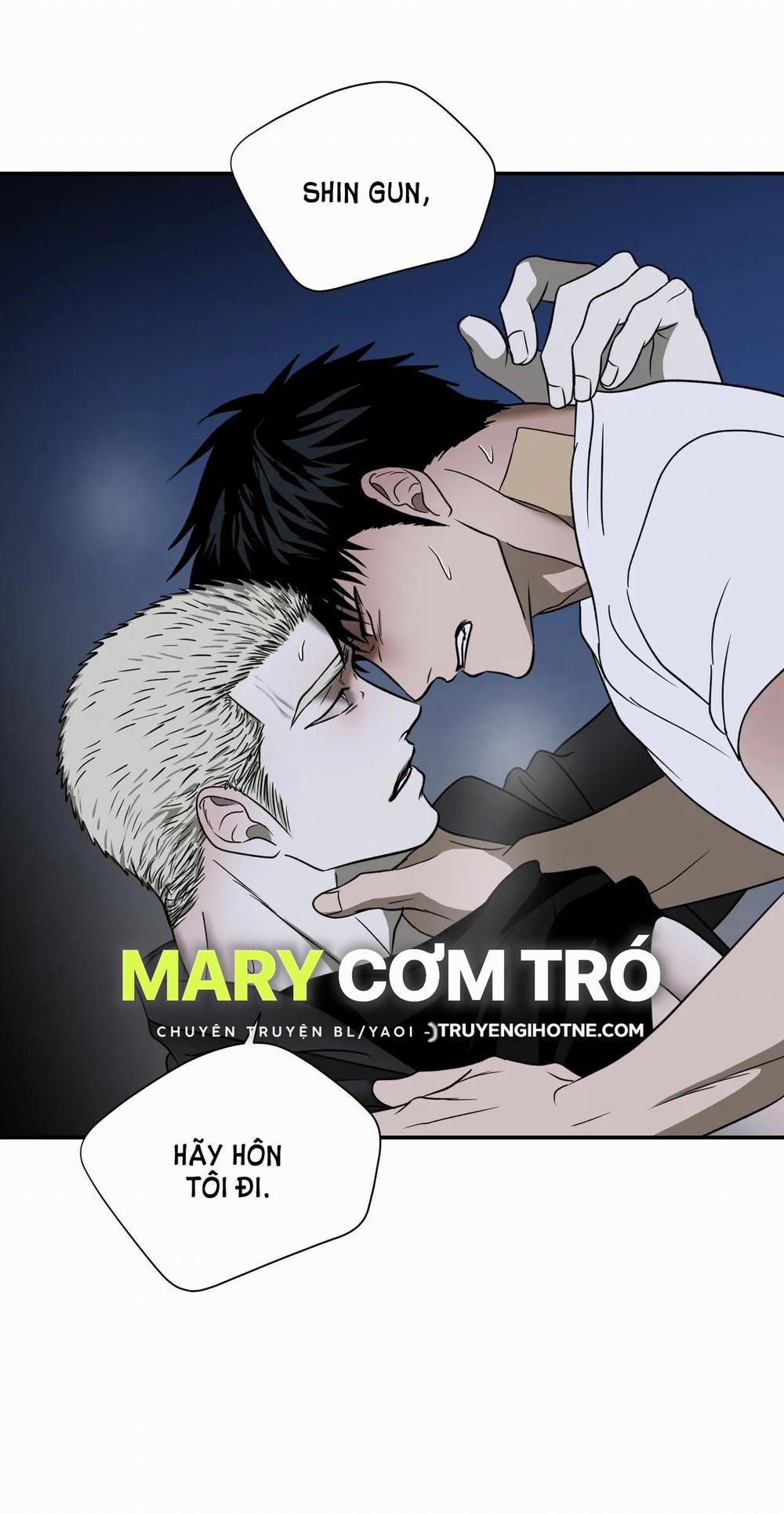 Shutline 64.2 trang 11