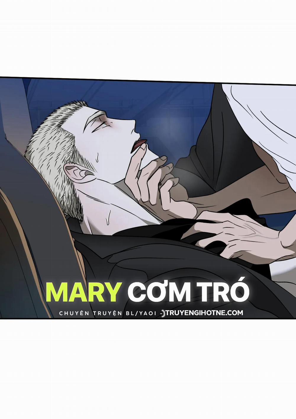 Shutline 64.2 trang 13