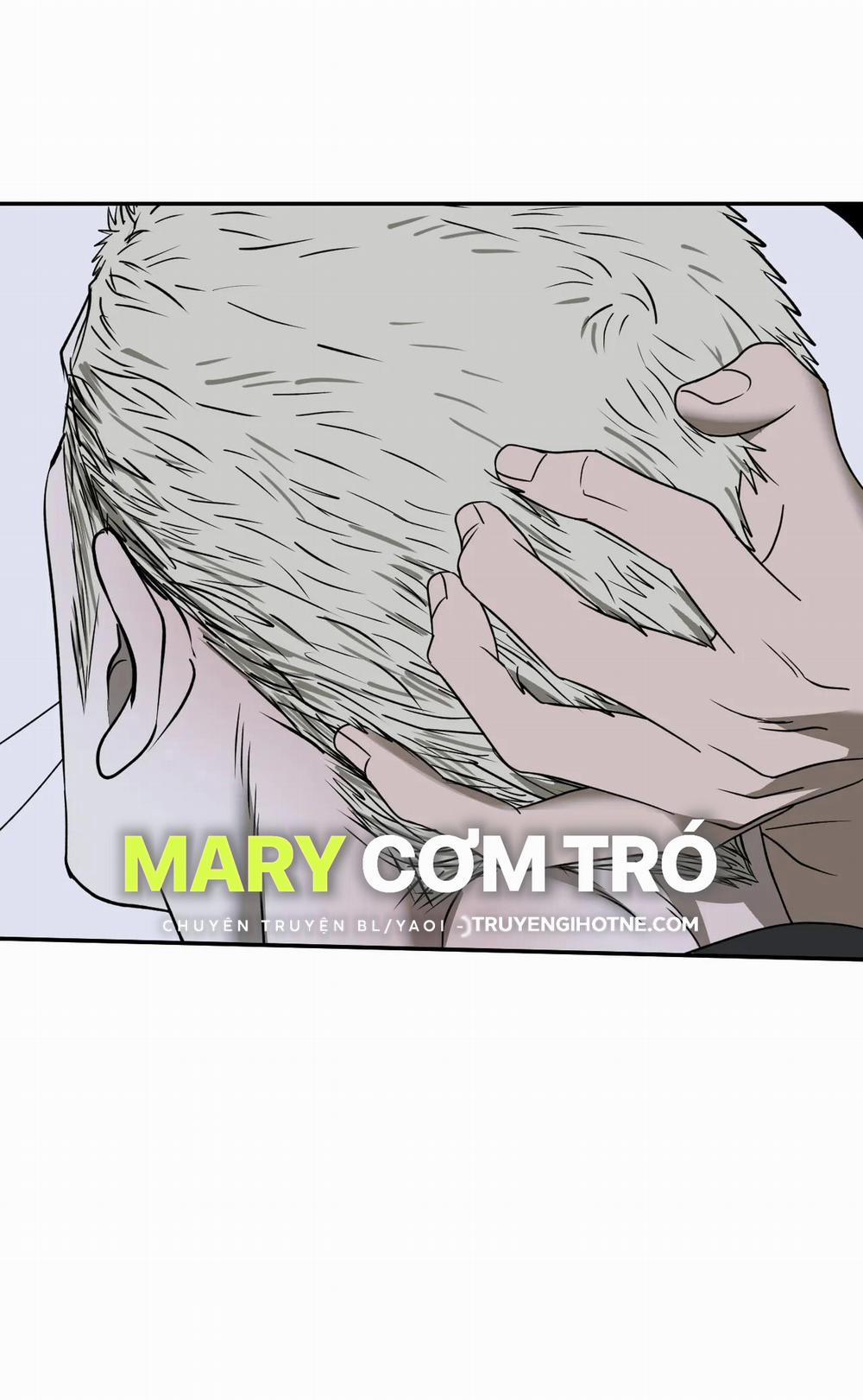 Shutline 65.1 trang 13