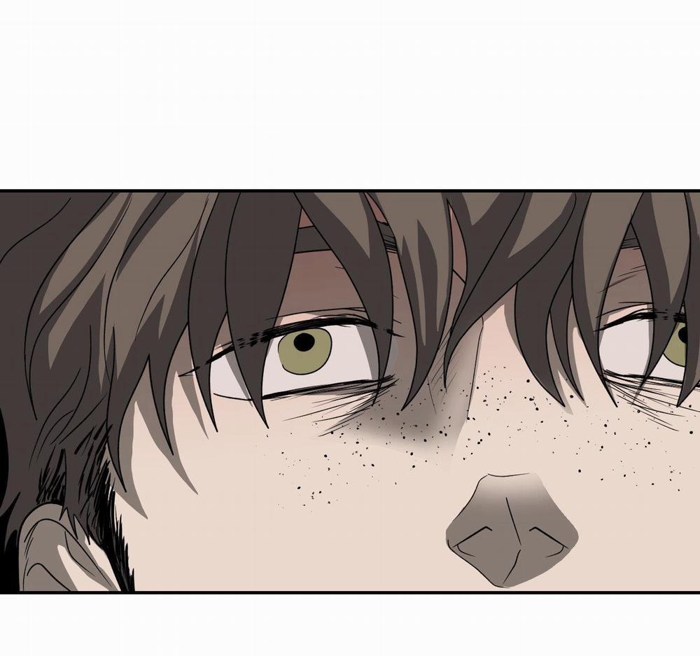 Shutline 72.1 trang 10