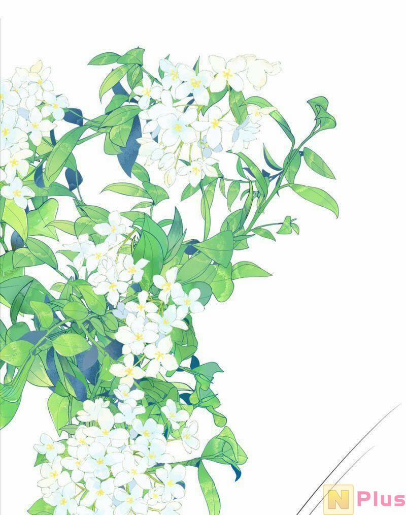 Siêu Cấp: Hệ Thống Trà Xanh 16 trang 18