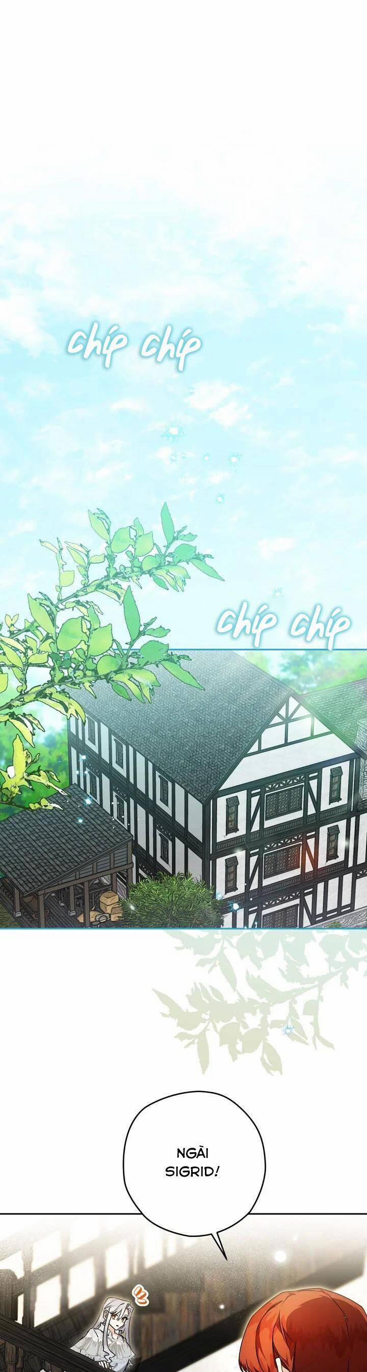 Sigrid 36 trang 2