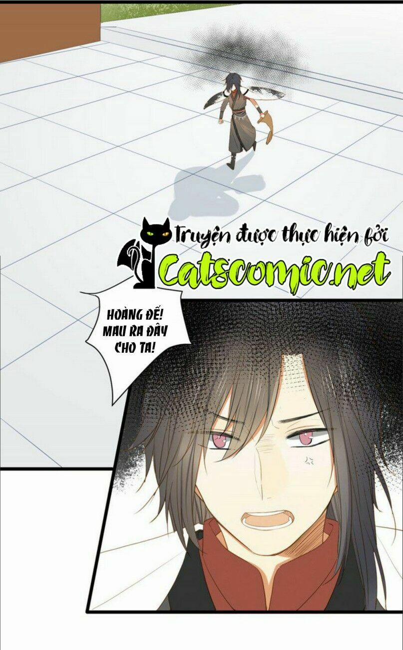 Sinh Hạ Long Chủng 1 trang 11