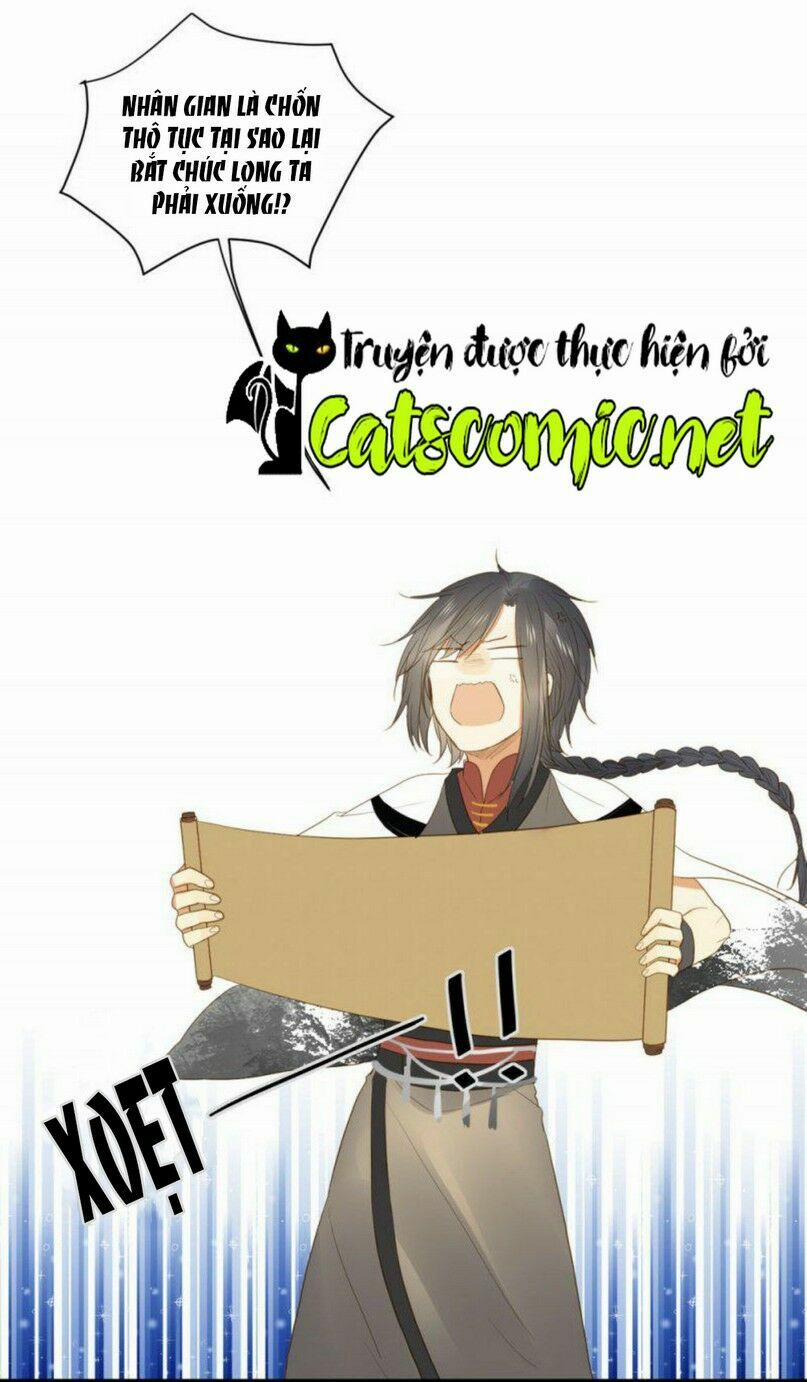 Sinh Hạ Long Chủng 1 trang 7