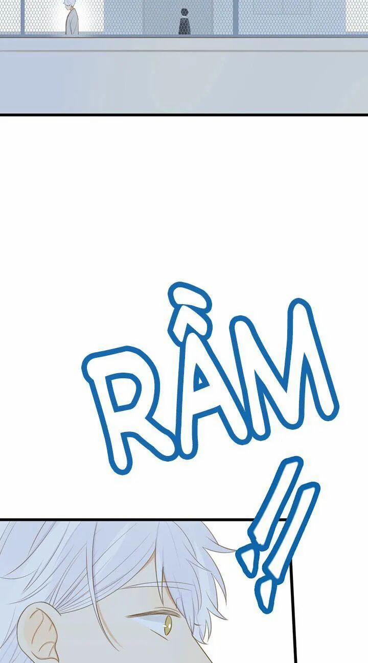 Sinh Hạ Long Chủng 101 trang 8