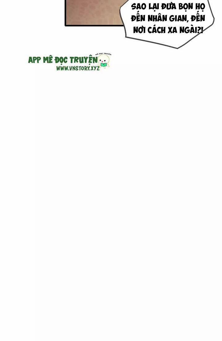 Sinh Hạ Long Chủng 126 trang 15