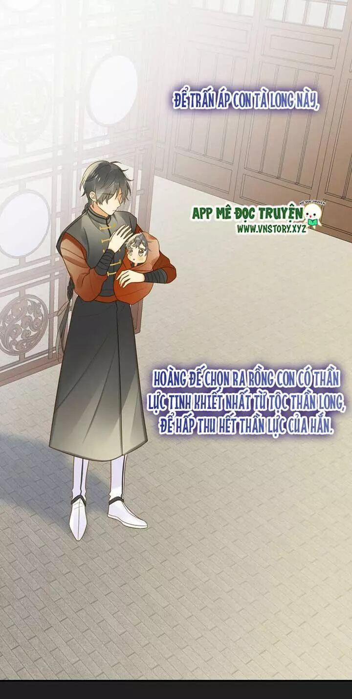 Sinh Hạ Long Chủng 141 trang 4