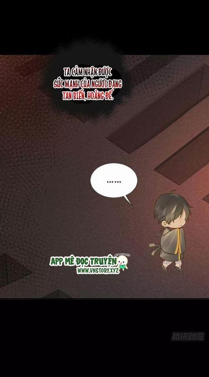 Sinh Hạ Long Chủng 141 trang 8