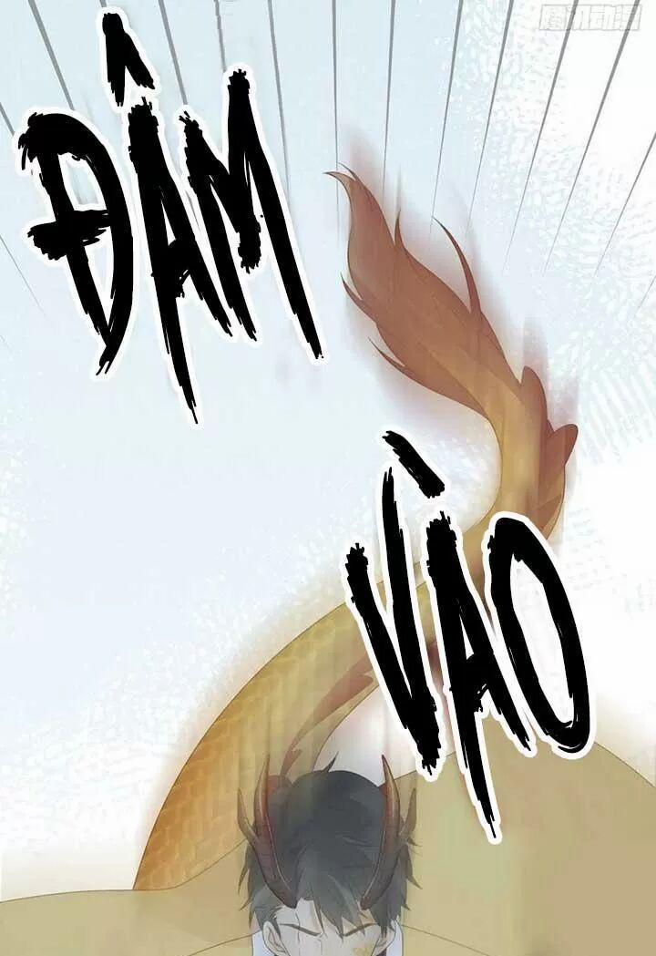 Sinh Hạ Long Chủng 147 trang 28