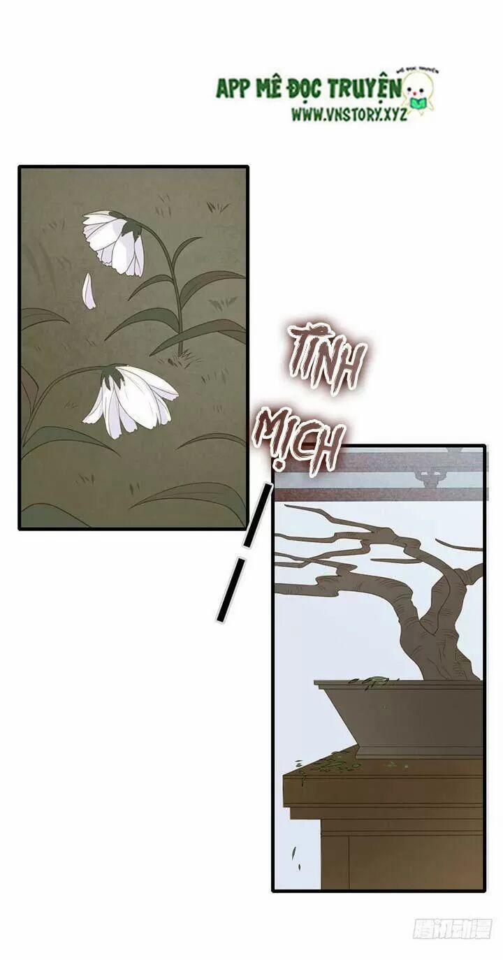 Sinh Hạ Long Chủng 148 trang 21