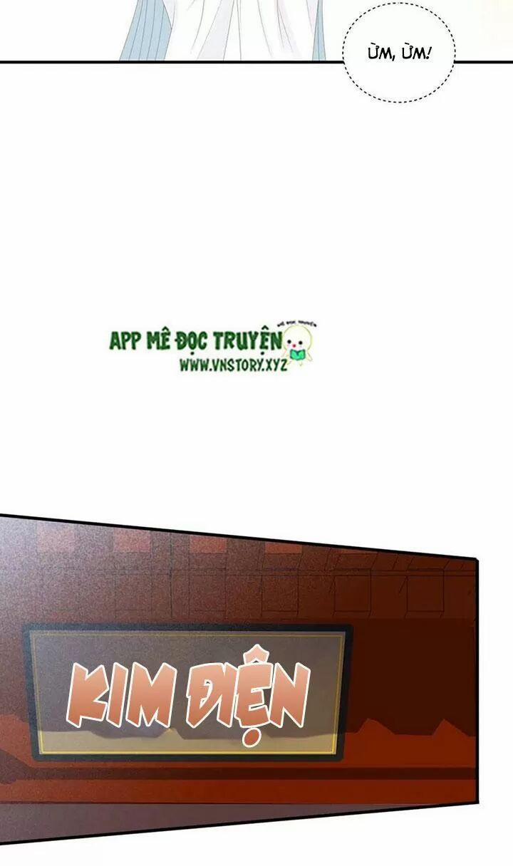 Sinh Hạ Long Chủng 178 trang 41