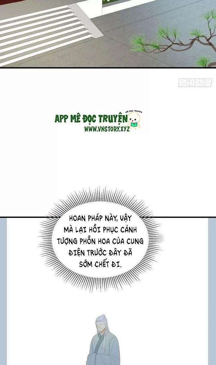 Sinh Hạ Long Chủng 178 trang 43