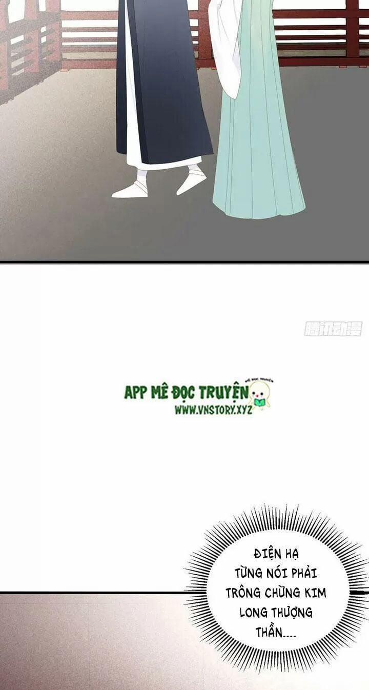 Sinh Hạ Long Chủng 184 trang 35