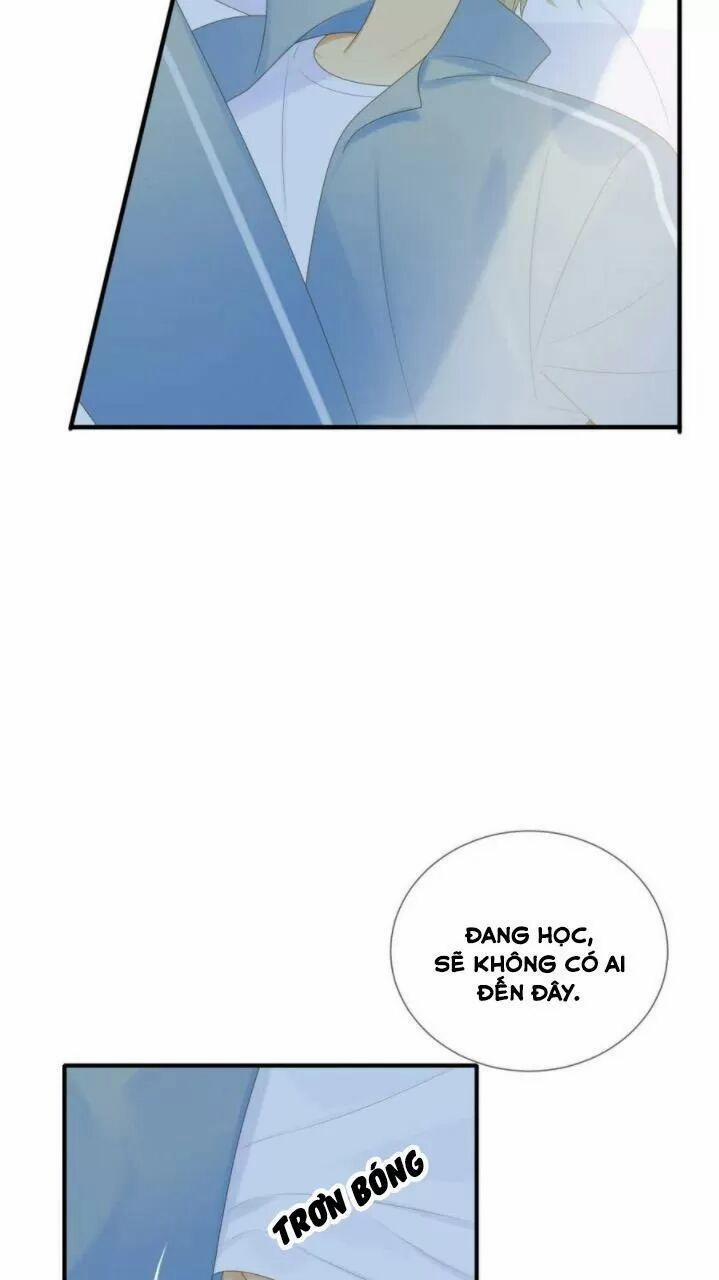 Sinh Hạ Long Chủng 198 trang 25