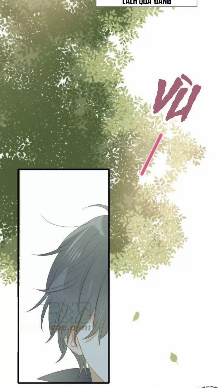 Sinh Hạ Long Chủng 199 trang 14