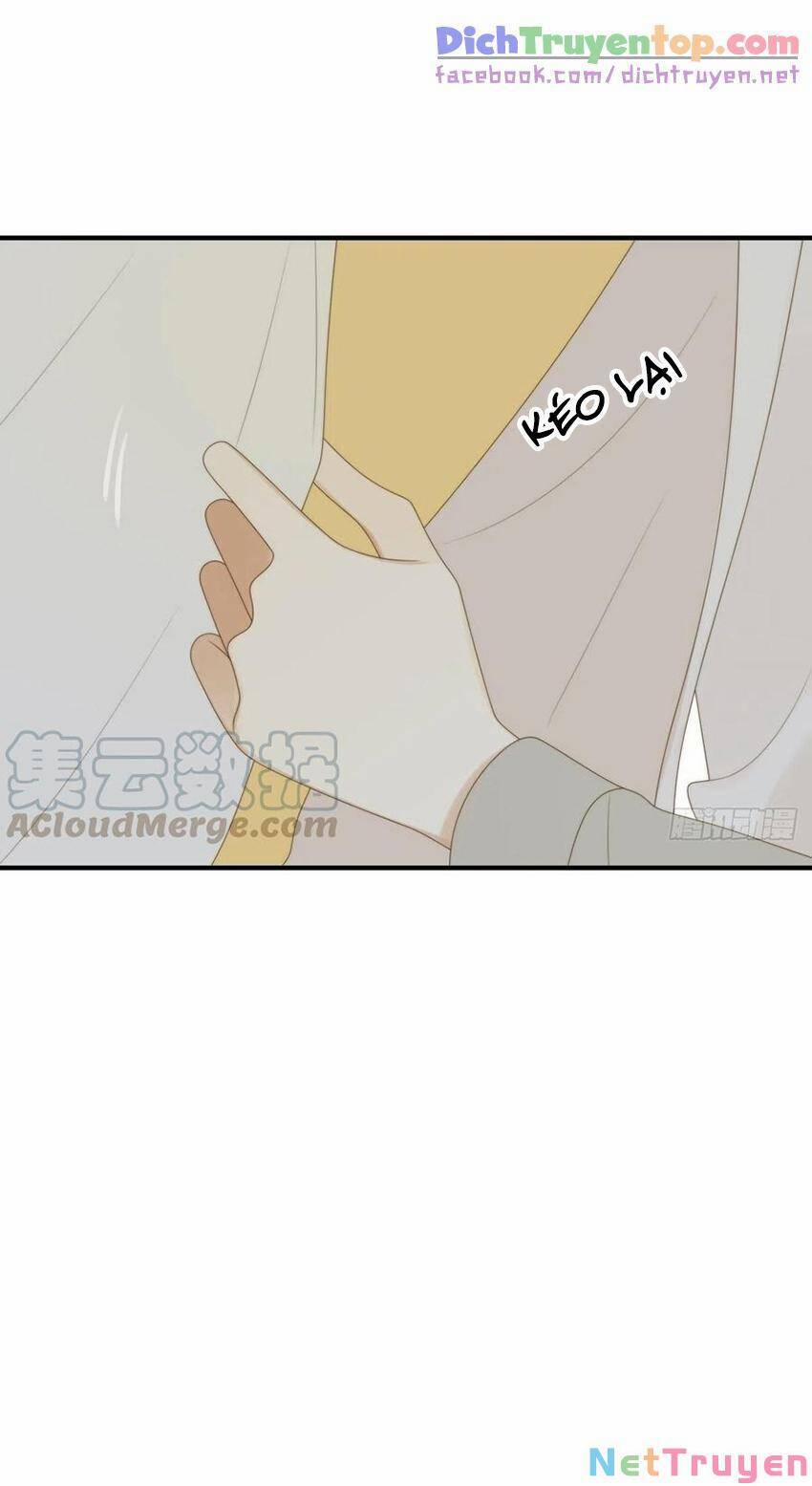 Sinh Hạ Long Chủng 212 trang 0