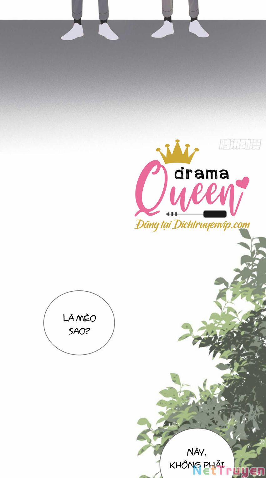 Sinh Hạ Long Chủng 215 trang 44