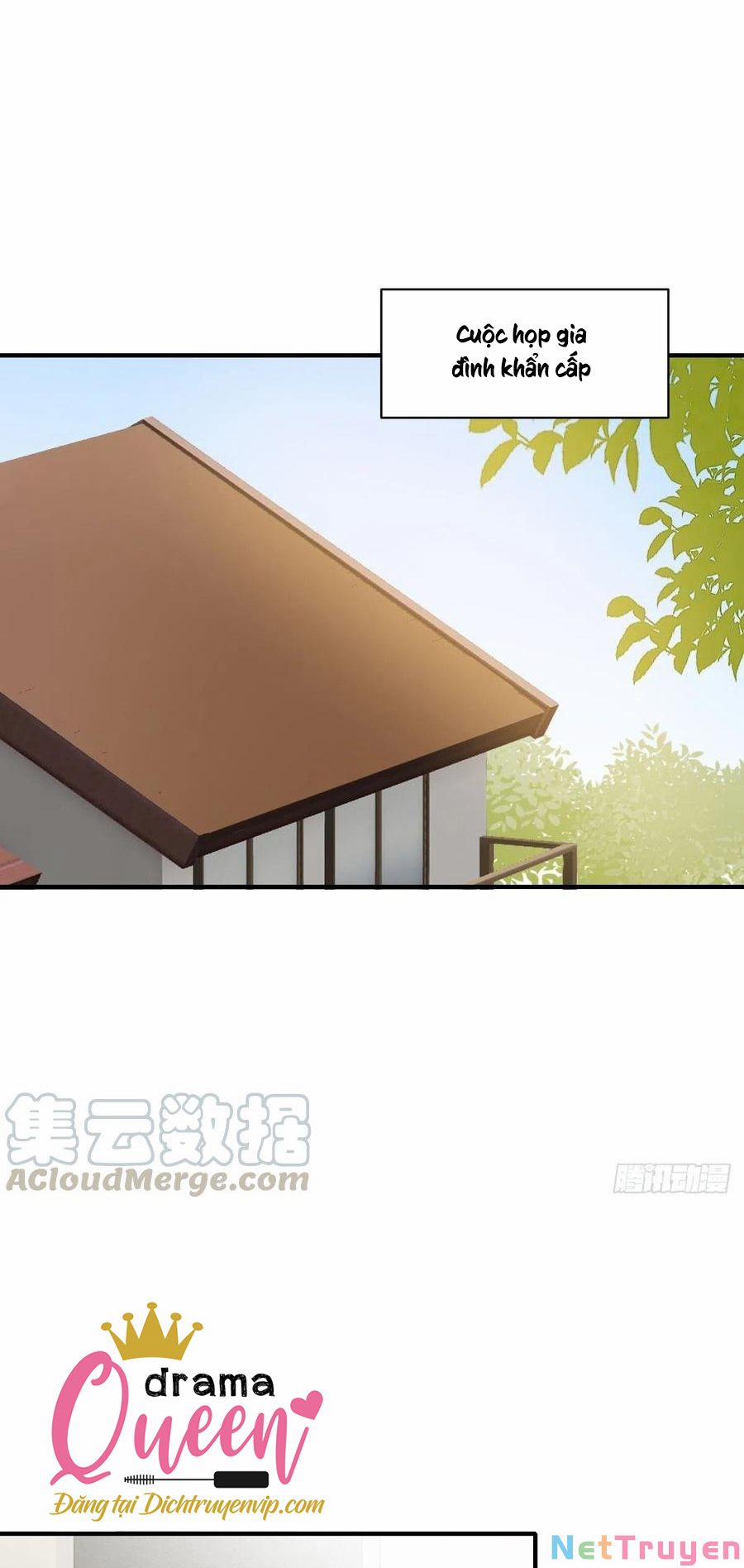 Sinh Hạ Long Chủng 216 trang 0