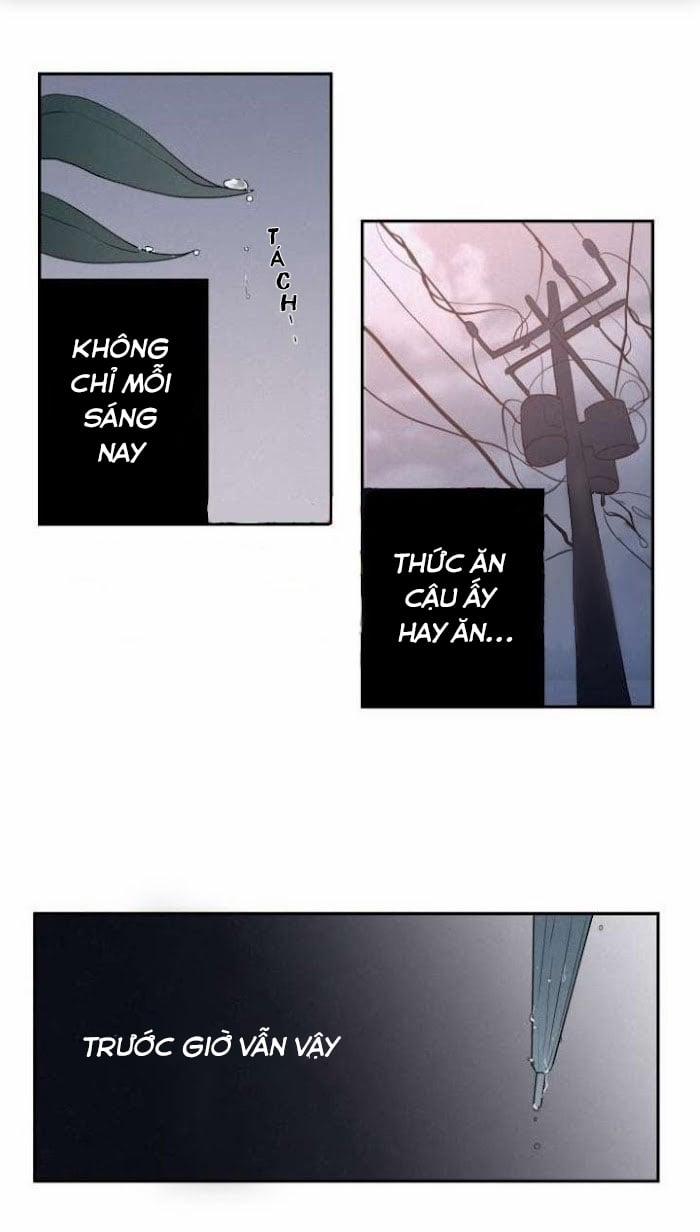 Six Sense 15 trang 4