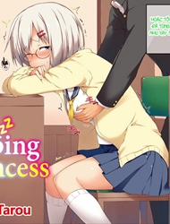 Đọc truyện tranh Sleeping Princess (Pretend)