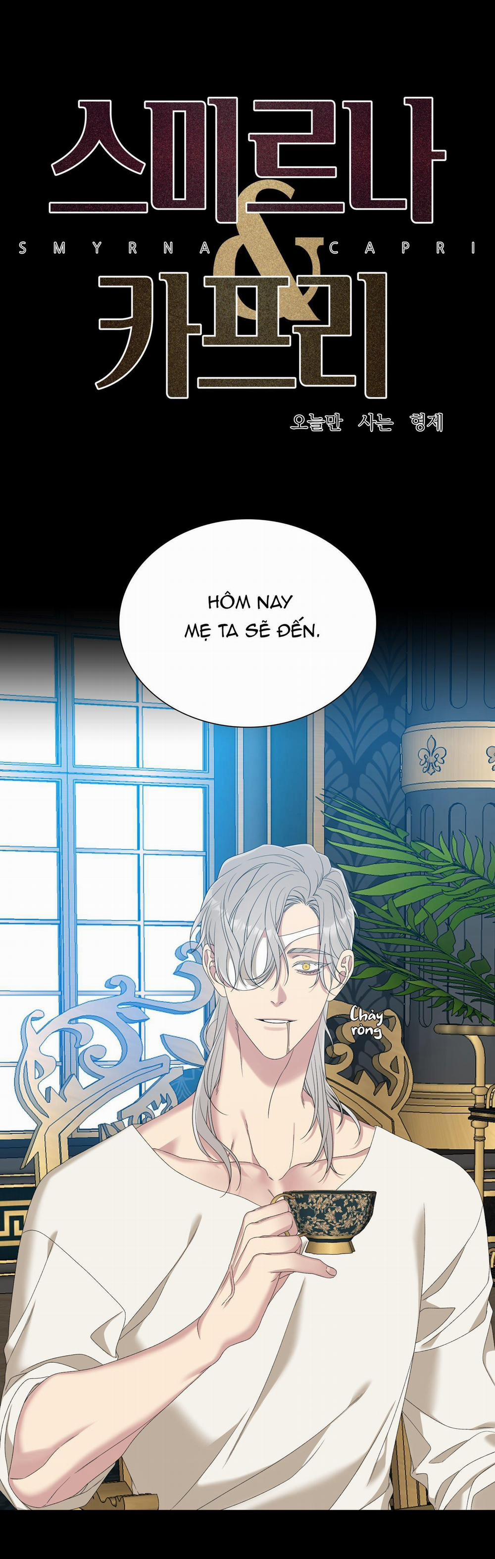 Smirna And Capri 29 trang 0