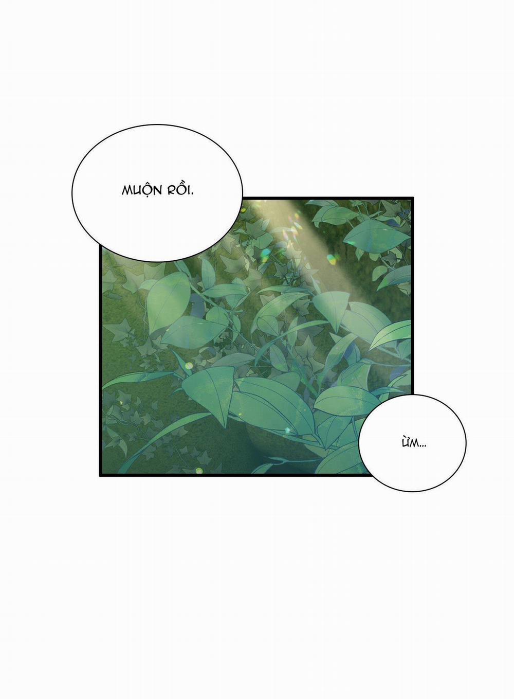 Smirna And Capri 33 trang 9