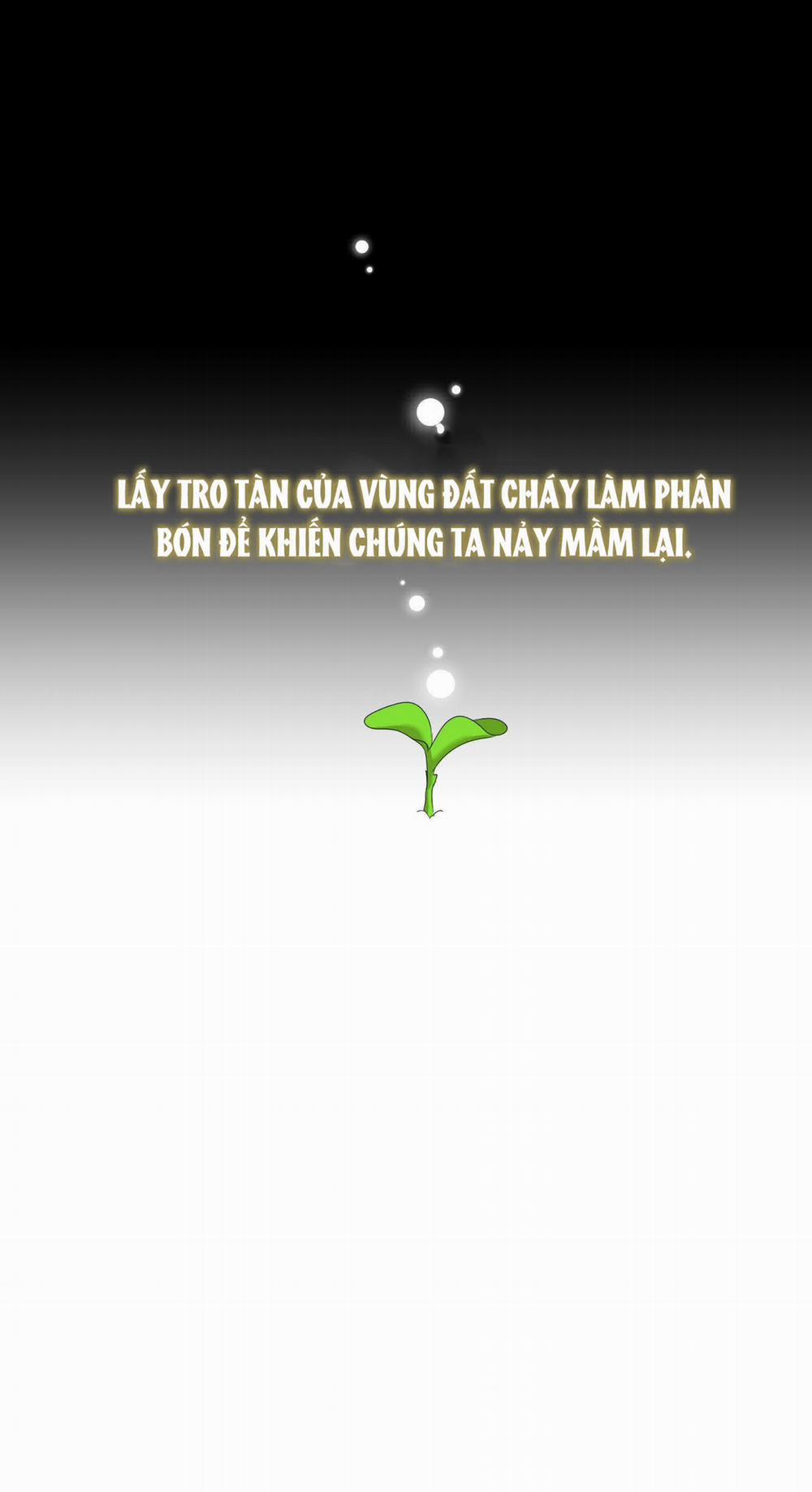 Smirna And Capri 47.2 trang 14