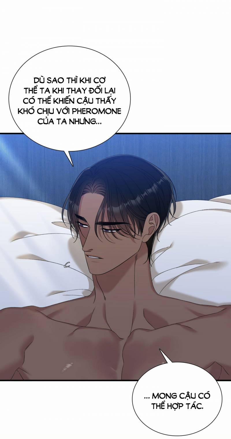 Smirna And Capri 48.2 trang 13