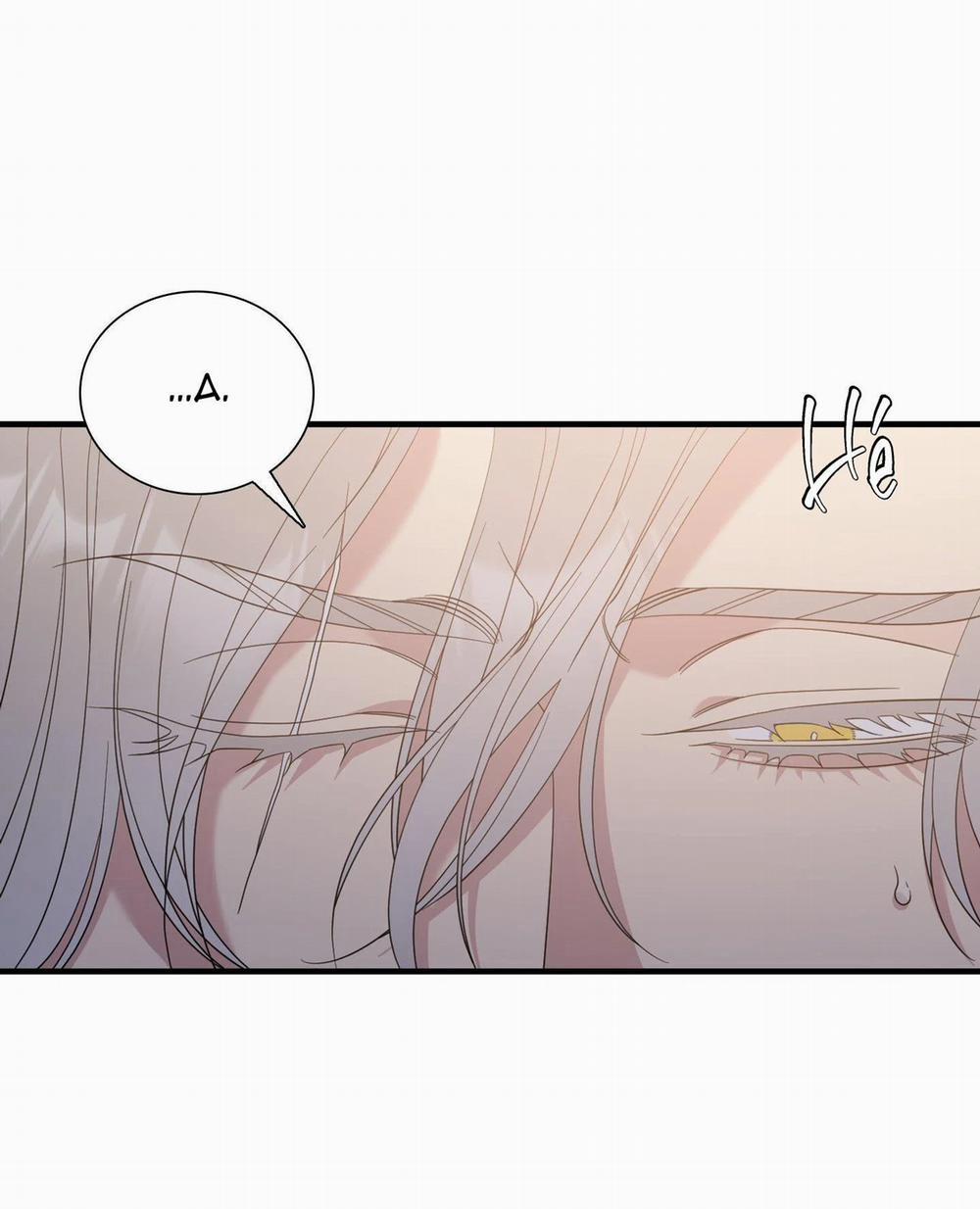 Smirna And Capri 50 trang 15