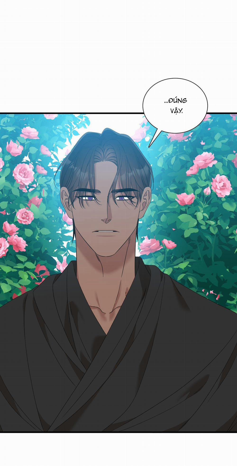 SMYRNA VÀ CAPRI 70 trang 31