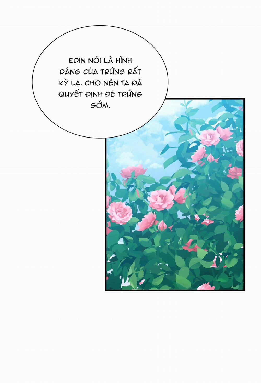 SMYRNA VÀ CAPRI 70 trang 39