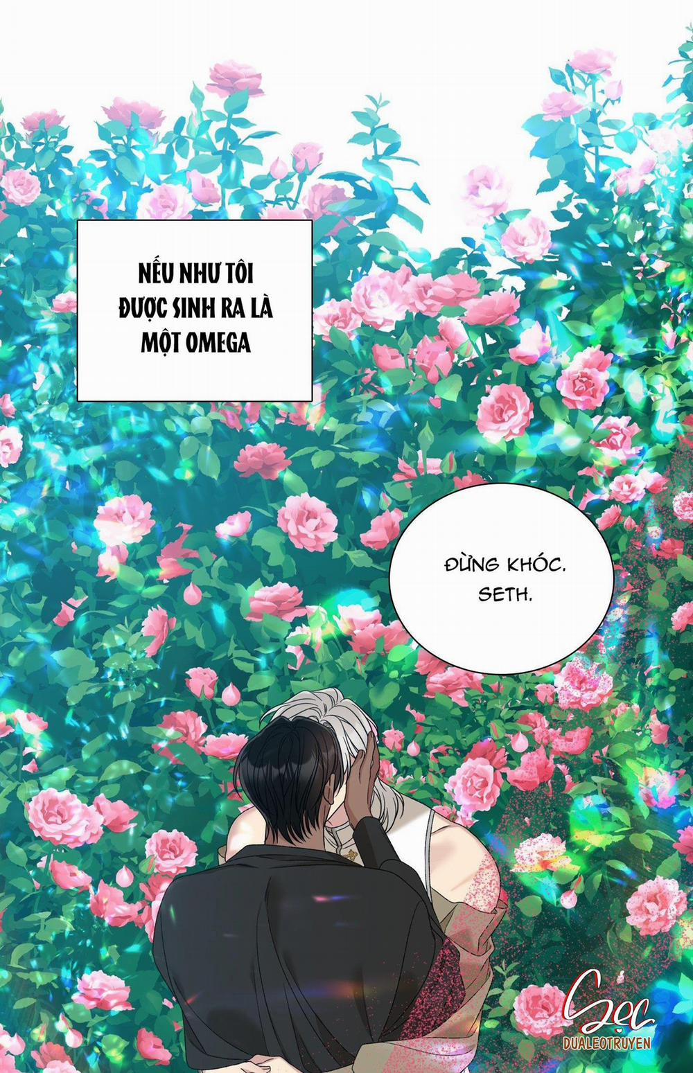 SMYRNA VÀ CAPRI 70 trang 49