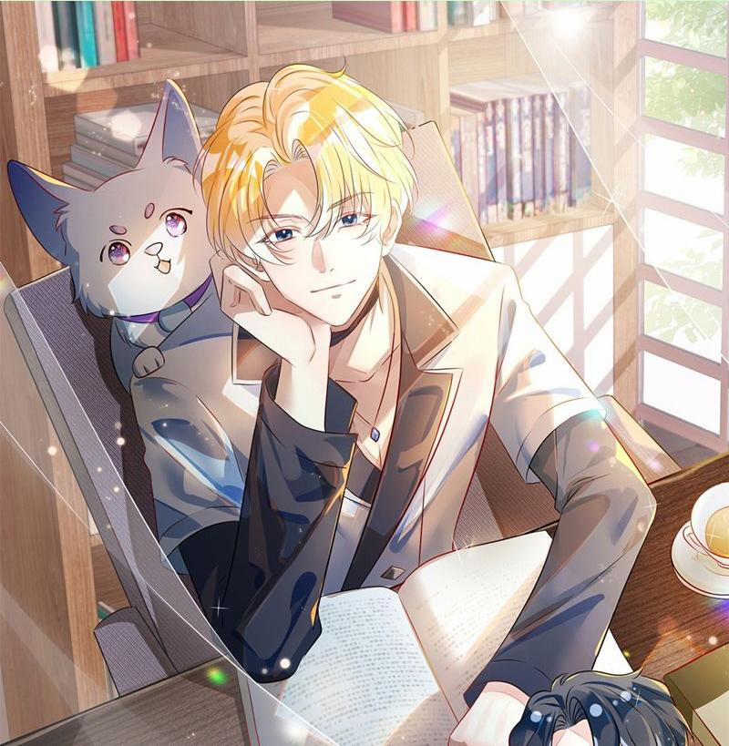 Sổ Tay Công Lược Ảnh Đế 43 trang 0